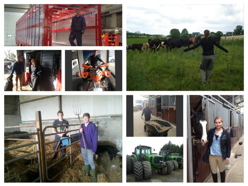 collage agri 2